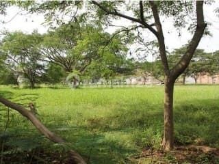 Mediterania PIK Hook Area Land Plot Mediterania PIK Hook Area Land Plot