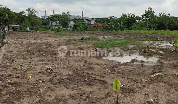 Jual Tanah di Terban Jekulo Kudus Jawa Tengah Cr.