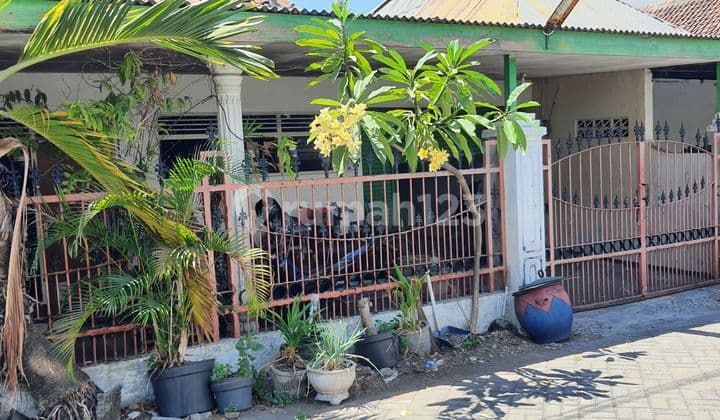 Rumah Hitung Tanah Di Kawasan Bisnis Pucang Anom Surabaya
