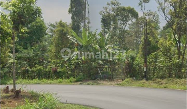 LAHAN NONGKO JAJAR, Purwodadi Pasuruan