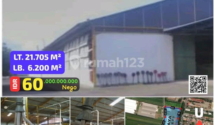 PABRIK PLYWOOD AKTIF ,PROBOLINGGO