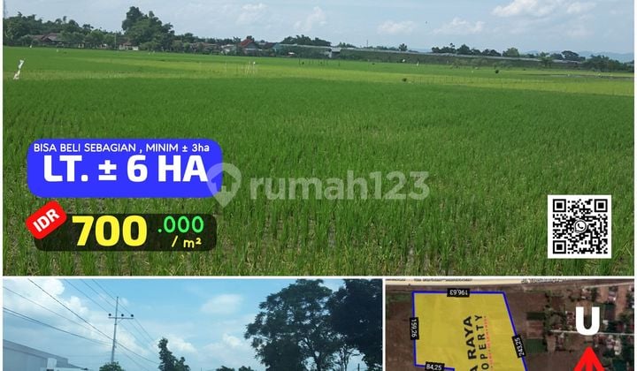 TANAH INDUSTRI ,BARON ,NGANJUK TANAH INDUSTRI ,BARON ,NGANJUK