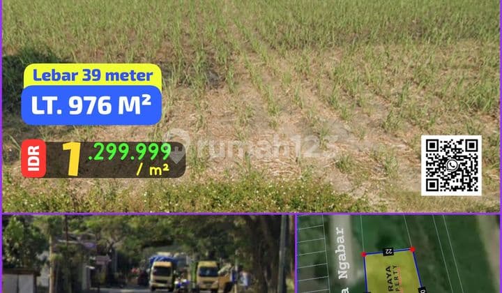 TANAH JETIS, NGABAR MOJOKERTO