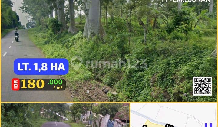 Tanah Ternak, Kebun, Tutur Purwodadi