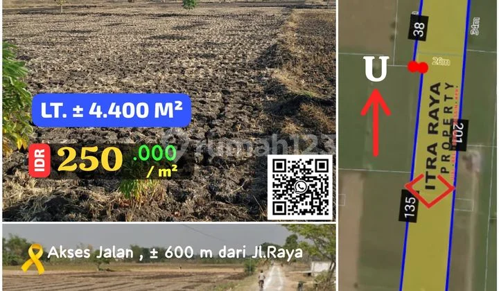 Warehouse Land in Balongpanggang, Gresik Warehouse Land in Balongpanggang, Gresik