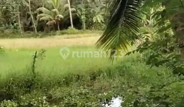 Jarang Ada! Tanah 200M² di Batu Karas - Surga Surfing & Wisata