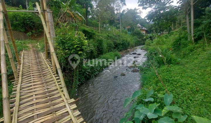 Tanah 1 Hektar SHM di Gambung Ciwidey – View Alam & Sungai Alami, Cocok Villa Glamping