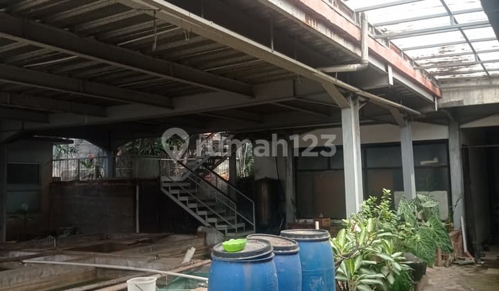 Rare! Spacious Wing House in Pasteur Near Land Price – Negotiable, investment opportunity.