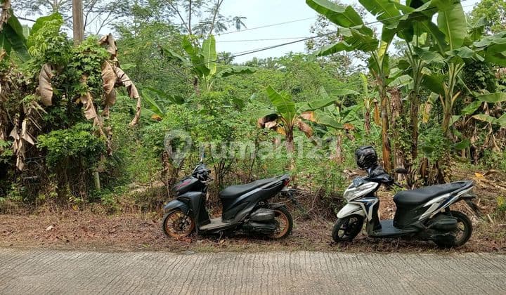 Tanah Kavling Murah Daerah Panggarangan Dekat Ke Bayah