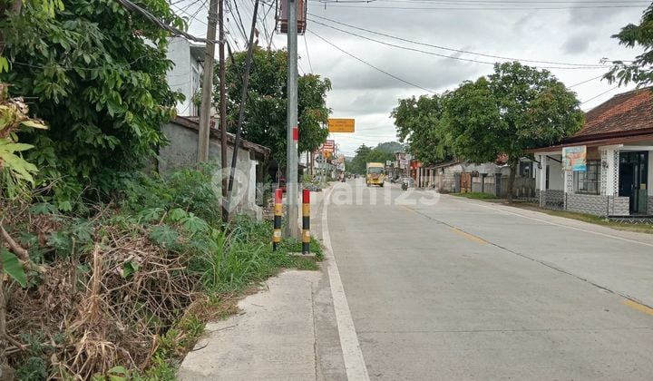 Tanah di Cimangpang Mainroad Jalan Nasional Bayah Malingping