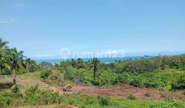 Tanah Luas Dkt Pantai Selatan Banten Untuk Pabrik Atau Perkebunan