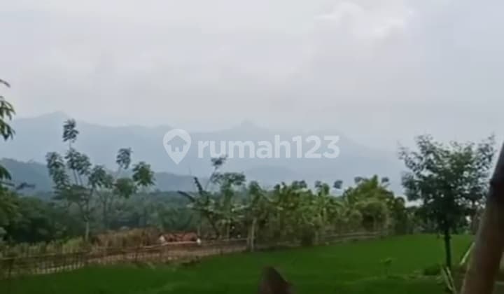 Tanah Luas Daerah Tegalwaru Dekat Waduk Cirata Purwakarta
