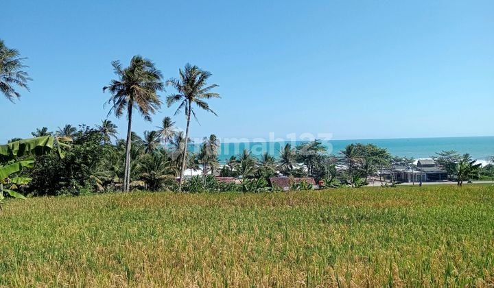Land with Sea View Suitable for Resort Villa in Bayah Dome Geopark Area