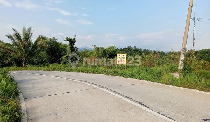Tanah Murah Shm Daerah Panggarangan Lebak Banten