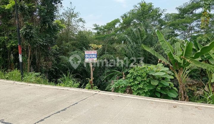 Cheap Land in Panggarangan Area, Lebak Banten