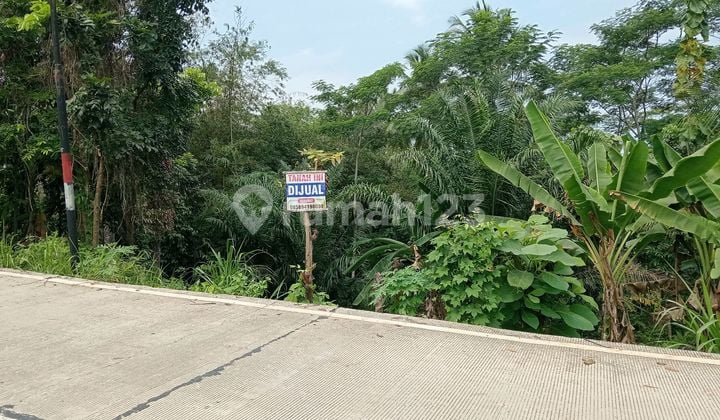 Tanah Murah Daerah Panggarangan Lebak Banten