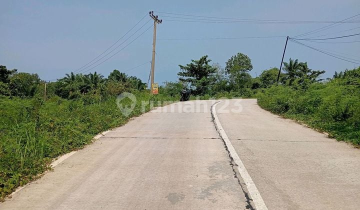 Turun Harga Tanah Di Panggarangan Pinggir Jln Provinsi Dkt Bayah