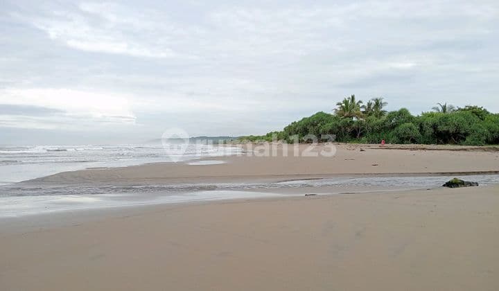 Tanah Pinggir Pantai Selatan Lebak Banten Dekat Pelabuhan Cemindo