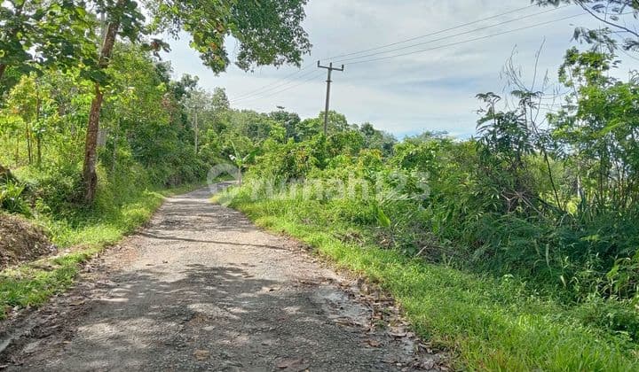 Garden Land in the Gunung Kencana Area, Lebak, Banten