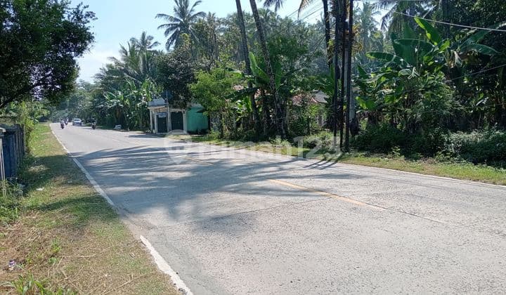 Tanah Mainroad Bayah Dekat Pabrik Semen Merah Putih Cemindo