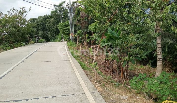 Tanah Murah Pinggir Jalan Provinsi Dpn Tugu Marinir Panggarangan