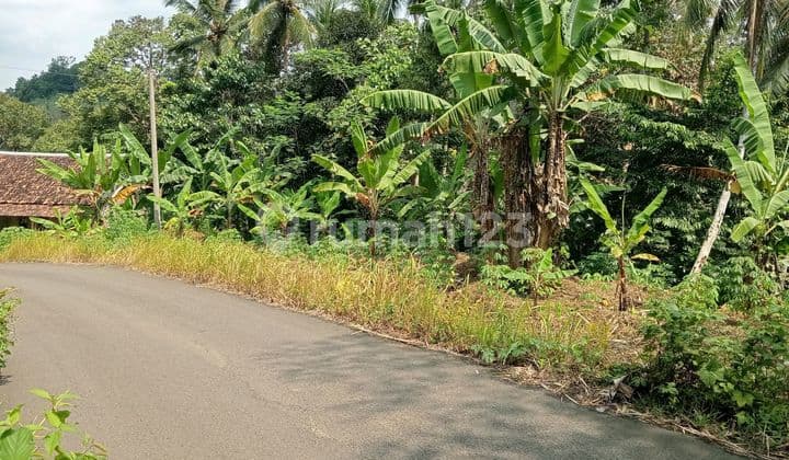 Tanah Pinggir Jalan Daerah Cileles Dekat Akses Tol Bojong