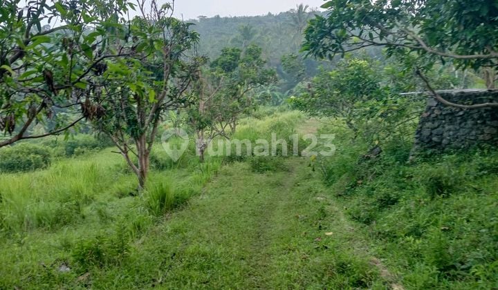 Tanah Murah Di Panggarangan Cocok Utk Peternakan Atau Pemancingan