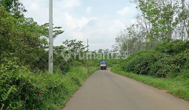 Tanah Zona Industri Cileles Lebak Banten bisa Juga Utk Peternakan