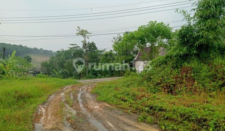 Tanah Strategis di Kawasan Industri Dekat Exit Tol Cileles Lebak Banten