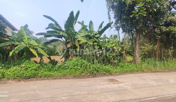 Tanah Akses Kontainer Cocok Di Bangun Gudang