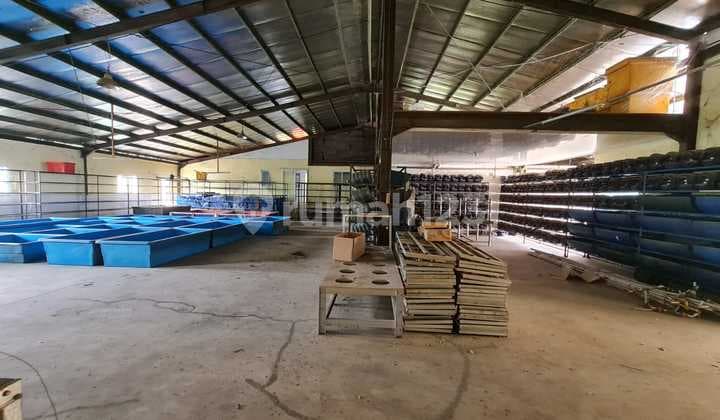 For Sale Frozen Warehouse Cikamuning Padalarang