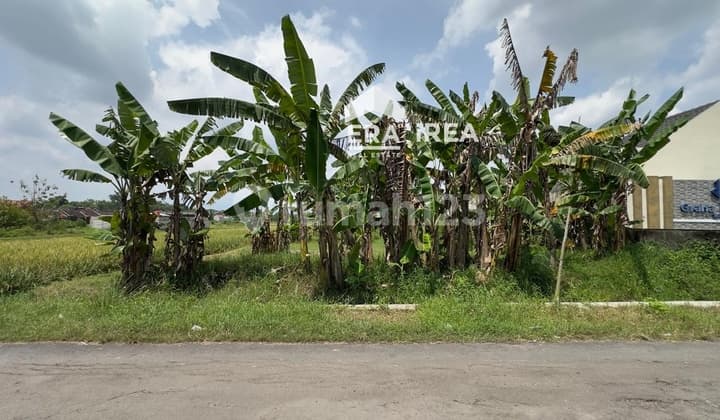 Dijual Tanah Hook di Solo Dekat Indogrosir Palur