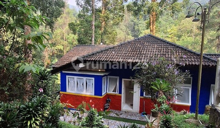 Villa Siap Huni Di Mega Mendung Best Lokasi Area Investasi Good