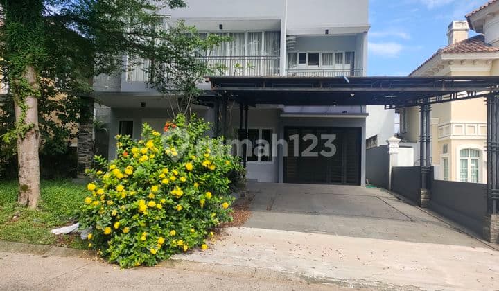 Dikontrakkan rumah swimming pool view bagus