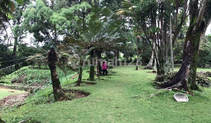 Dijual Cepat Tanah Ex Hotel di Jl Raya Puncak Bogor Murah Banget