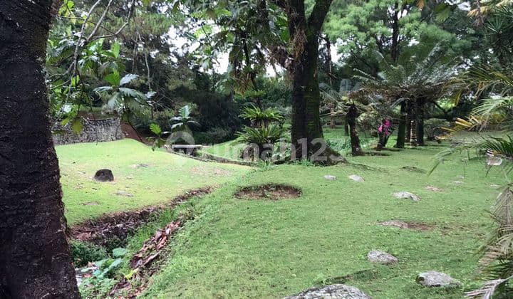 Tanah Di Bawah Njop Komersil Ex Hotel Jl Raya Puncak Bogor