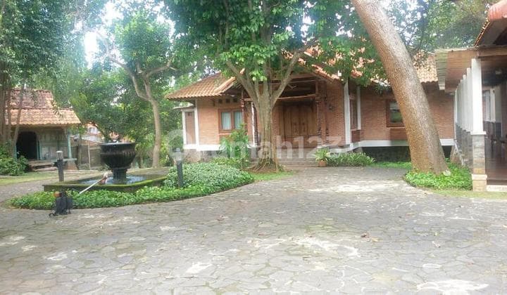 Rumah Kebun Joglo Jawa ASLI Harga Murah di Beji Depok Tanah Luas