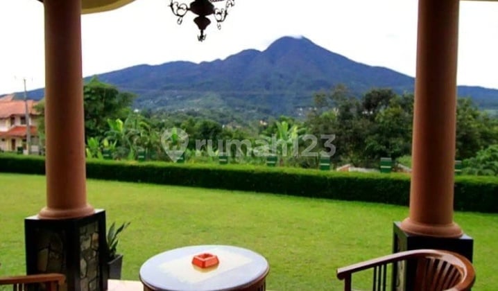 Villa View Panorama Gunung,alam Indah Ciapus Bogor Harga Bisa di Goyang