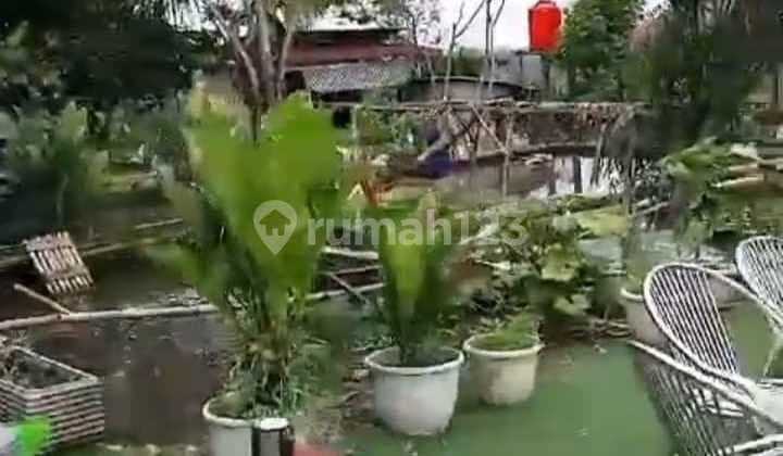 Cheap Land Suitable for Fish Farming in Ciampea, Bogor