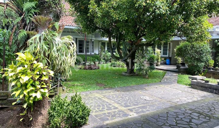LUXURIOUS GREEN HOME INCLUDING STRATEGIC LAND IN CITARUM BANDUNG - PRICE NEGOTIABLE UNTIL DEAL