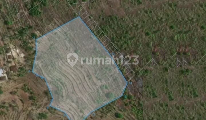 Land for Sale at a Very Strategic Price - 4 Minutes from Katon Hills, Nusa Penida, Bali