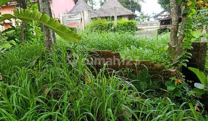 TANAH KOMERSIL SUPER MURAH NEGO TERJUN BEBAS DI PANTAI CARITA