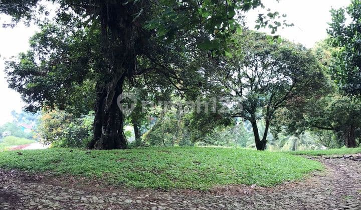 Dijual Tanah Komersil di bawah NJOP di Jln Raya Puncak Bogor - Cocok untuk Investasi