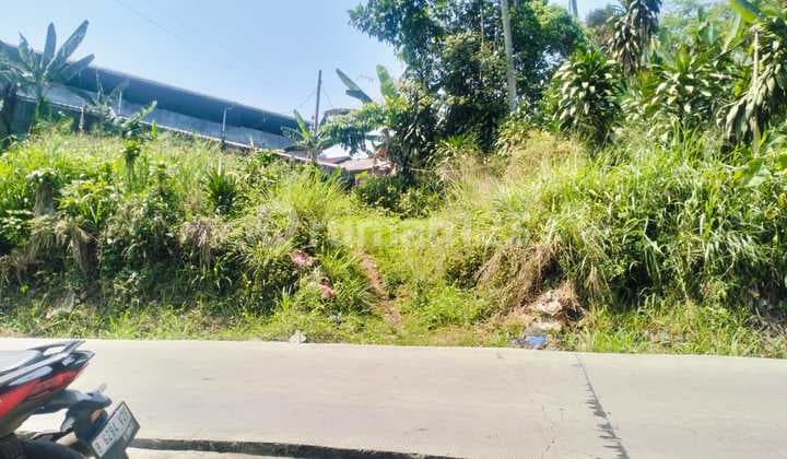 Tanah Murah Nego Keras di Tamansari Ciomas Bogor Cocok Untuk Bisnis