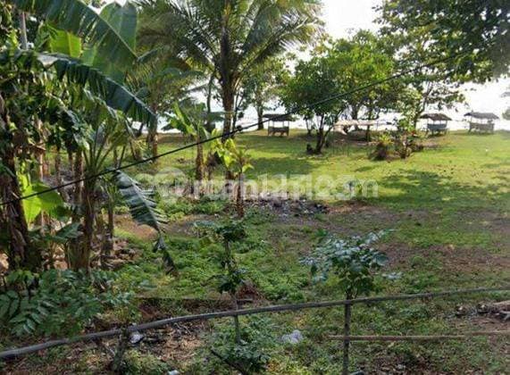 Tanah Komersial Murah 500ribu Di Jln Raya Carita