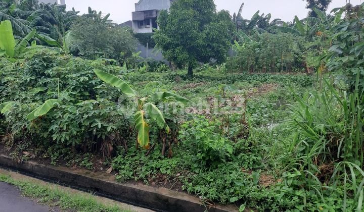 Dijual Cepat Tanah di Nempel Bintaro di Pondok Jaya