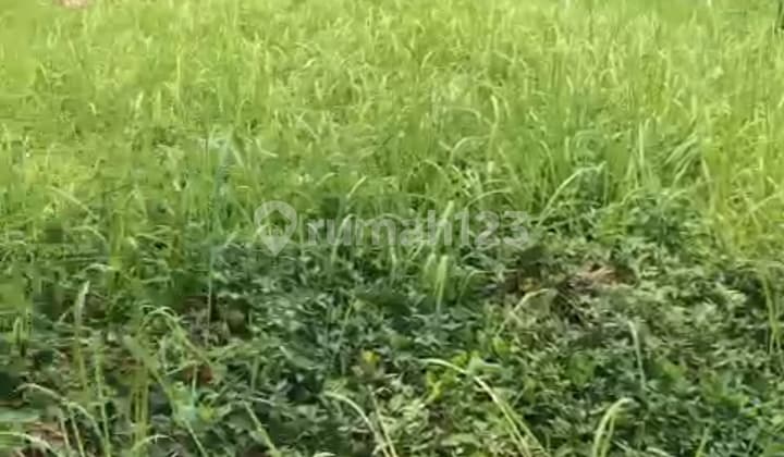 Tanah Disewakan @ Pondok Indah