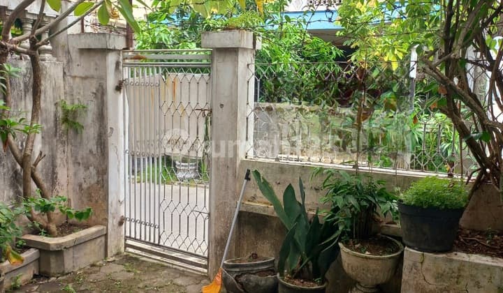 Sugihwaras Old House