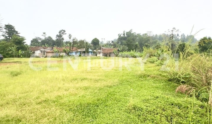 Tanah Cocok untuk Investasi di Pamijahan Gunung Salak Bogor