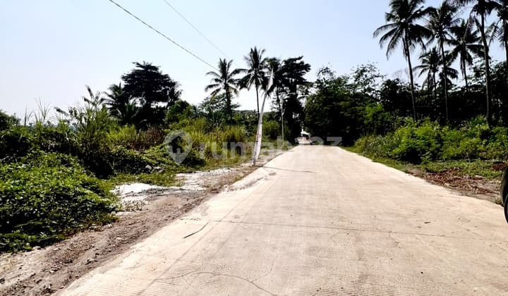 Tanah Kavling 10 Hektar Di Rumpin Kab Bogor
